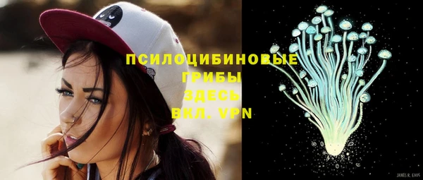 кокс Абаза