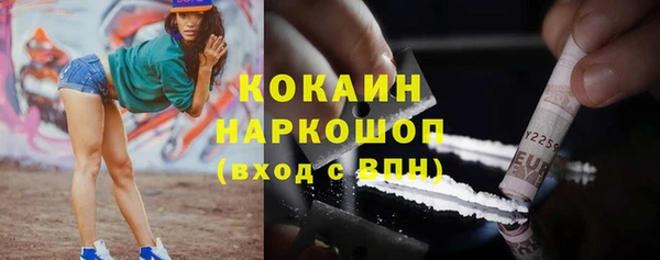 индика Алексин