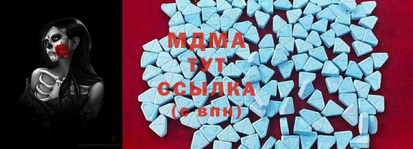 индика Алексин