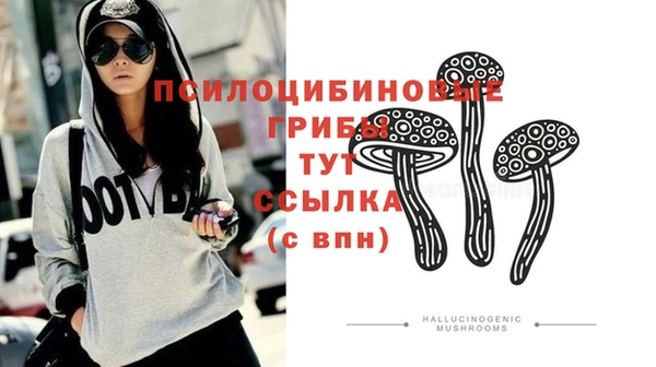 индика Алексин
