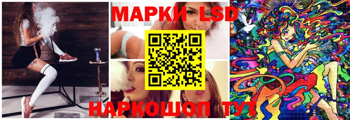 Наркотические марки 1500мкг  Вход с VPN  Наркотические марки 1500мкг  Каменка 