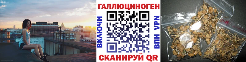 kraken Каменка Галлюциногенные грибы Psilocybe купить наркоту