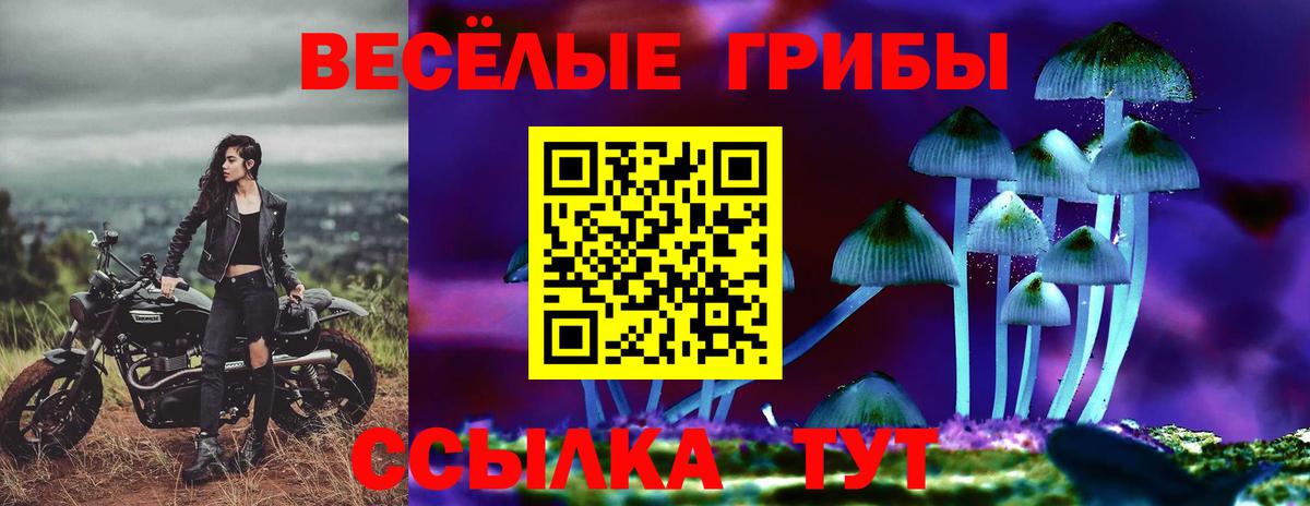 Галлюциногенные грибы Psilocybe  Вход с VPN  Галлюциногенные грибы Psilocybine cubensis  Каменка 